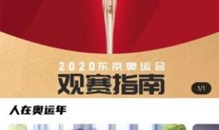 2021年中国全运会奖牌榜